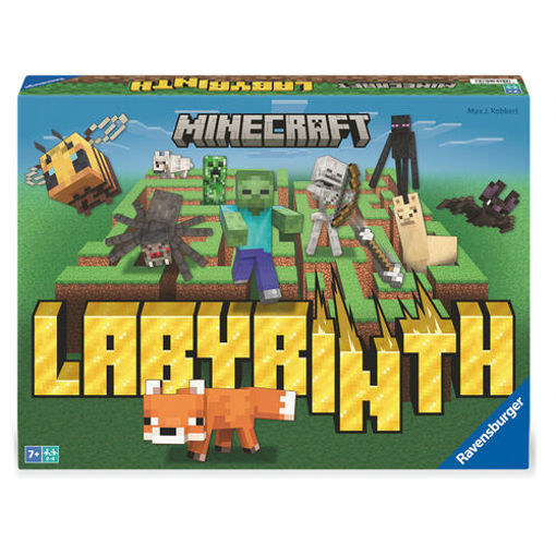 Picture of Minecraft Labyrinth